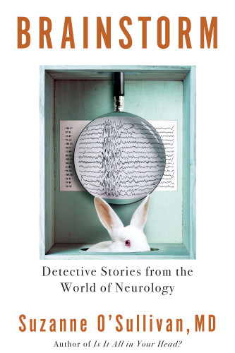 Brainstorm Detective Stories From The World Of Neurology Osullivan
