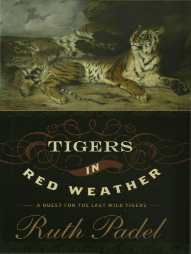 Tigers In Red Weather A Quest For The Last Wild Tigers Padel