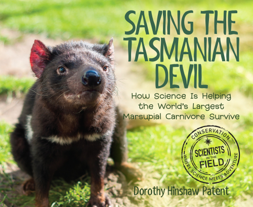 Saving The Tasmanian Devil How Science Is Helping The Worlds Largest Marsupial Carnivore Survive Illustrated Patent