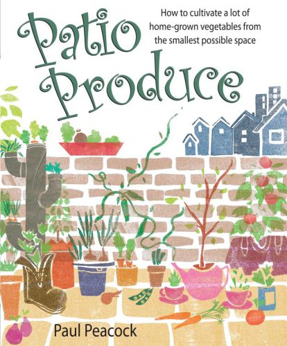 Patio Produce How To Cultivate A Lot Of Homegrown Vegetables From The Smallest Possible Space First Edition Paul Peacock