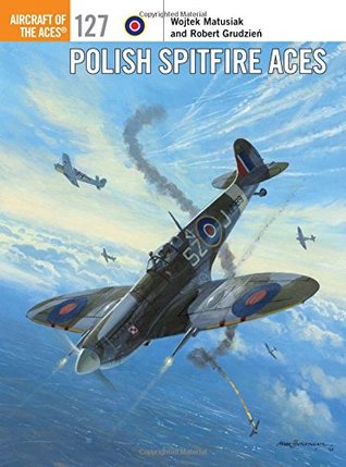 Polish Spitfire Aces Wojtek Matusiak Robert Grudzieńillustrator