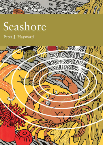Seashore Peter J Hayward