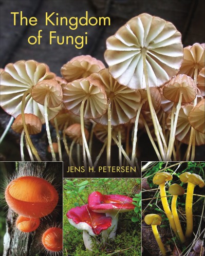 The Kingdom Of Fungi Enhanced Credo Edition Jens H Petersen