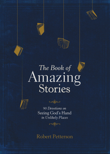 The Book Of Amazing Stories 90 Devotions On Seeing Gods Hand In Unlikely Places Petterson