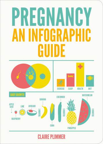 Infographic Guide To Pregnancy Plimmer Claire