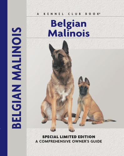 Belgian Malinois Pollet Robert M