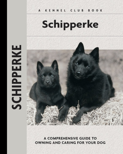 Schipperke Dr Robert Pollet