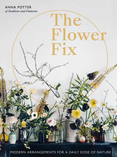 The Flower Fix Modern Arrangements For A Daily Dose Of Nature Anna Potter