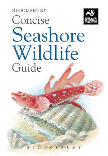 Concise Seashore Wildlife Guide Bloomsbury