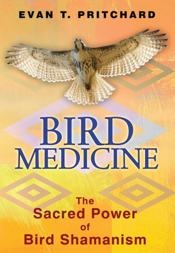 Bird Medicine The Sacred Power Of Bird Shamanism Pritchard Evan T