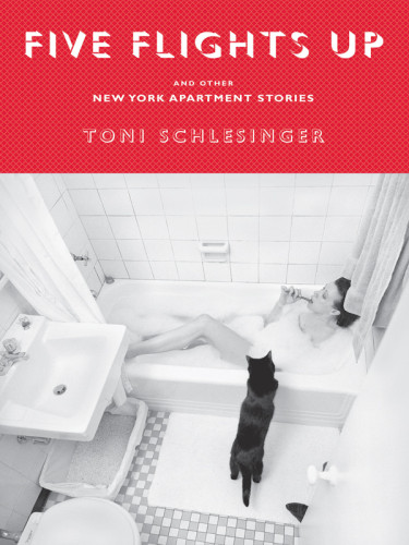 Five Flights Up And Other New York Apartment Stories Toni Schlesinger