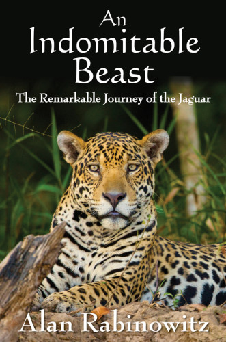 An Indomitable Beast The Remarkable Journey Of The Jaguar Rabinowitz