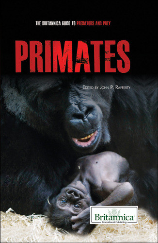 Primates 1st Ed Rafferty John P