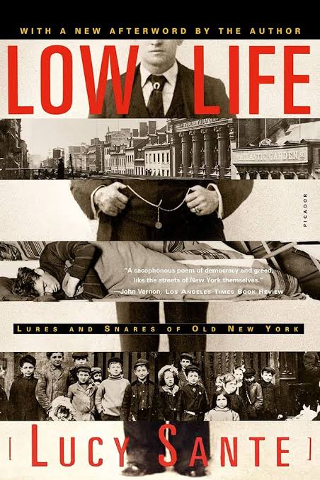 Low Life Lures And Snares Of Old New York Sante Luc