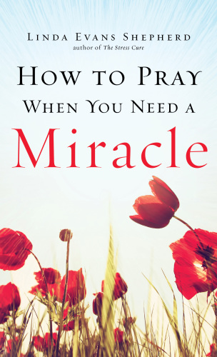 How To Pray When You Need A Miracle Recorded Books Incshepherd