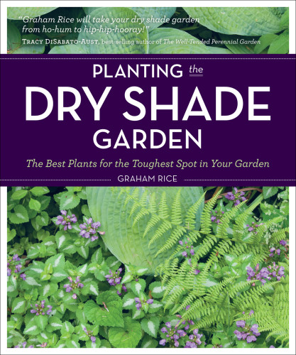 Planting The Dry Shade Garden The Best Plants For The Toughest Spot In Your Garden Rice