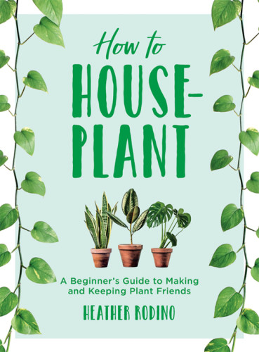 How To Houseplant A Beginners Guide To Making And Keeping Plant Friends Rodino