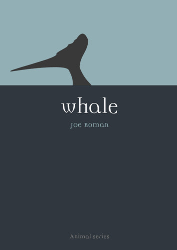 Whale Roman Joe