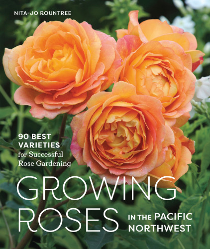 Growing Roses In The Pacific Northwest Nitajo Rountree