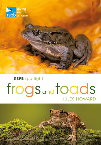 Rspb Spotlight Frogs And Toads Royal Society For The Protection Of Birdshoward