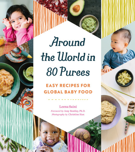 Around The World In 80 Purees Saini Leena