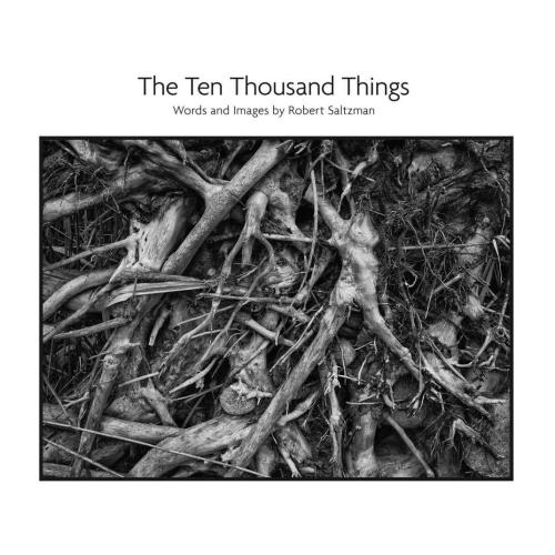 The Ten Thousand Things Saltzman Robert