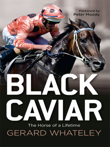 Black Caviar The Horse Of A Lifetime Whateley Gerard