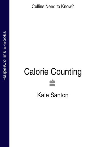 Calorie Counting Santon Kate