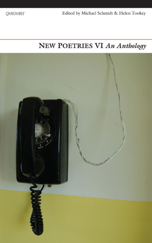 New Poetries Vi An Anthology Schmidt Michaeltookey Helen