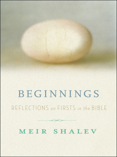 Beginnings Reflections On The Bibles Intriguing Firsts 1st Ed Schoffman