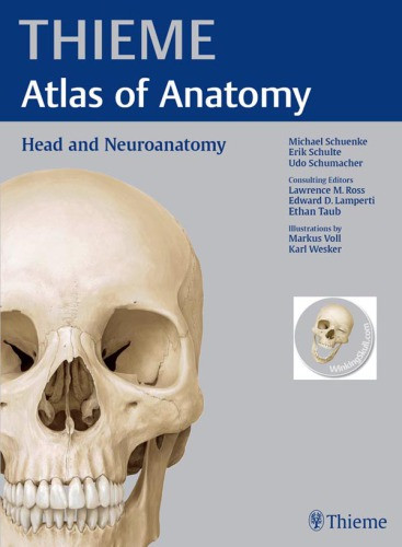 Head And Neuroanatomy Schuenke Michaelschulte Erik