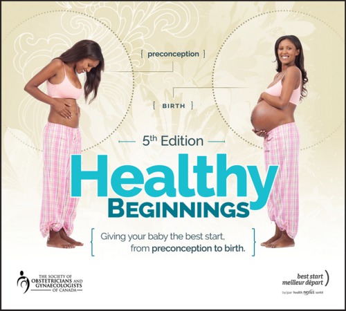 Healthy Beginnings Giving Your Baby The Best Start From Preconception To Birth 4th Ed Schuurmans