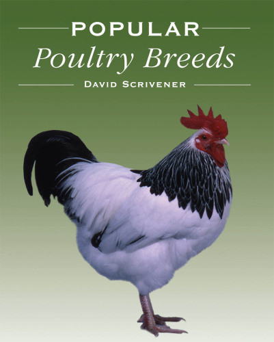 Popular Poultry Breeds Scrivener David David Scrivener