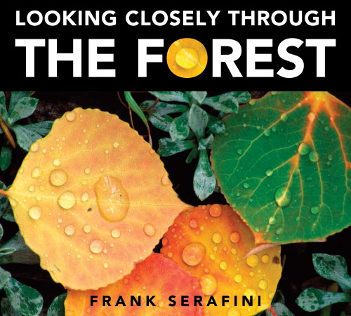 Looking Closely Through The Forest Serafini Frank