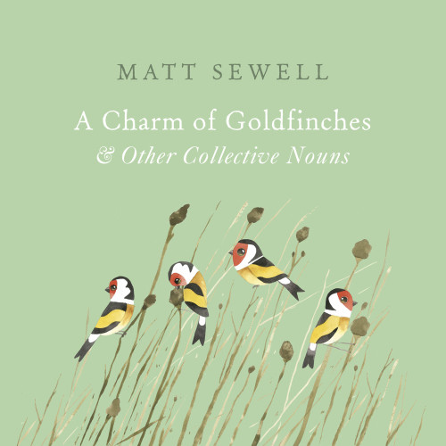 A Charm Of Goldfinches Other Collective Nouns Matt Sewell