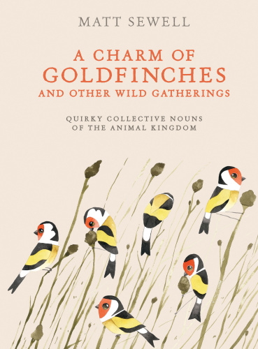 A Charm Of Goldfinches And Other Wild Gatherings First American Edition Matt Sewell