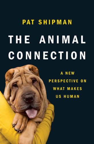 The Animal Connection A New Perspective On What Makes Us Human 1st Ed Shipman