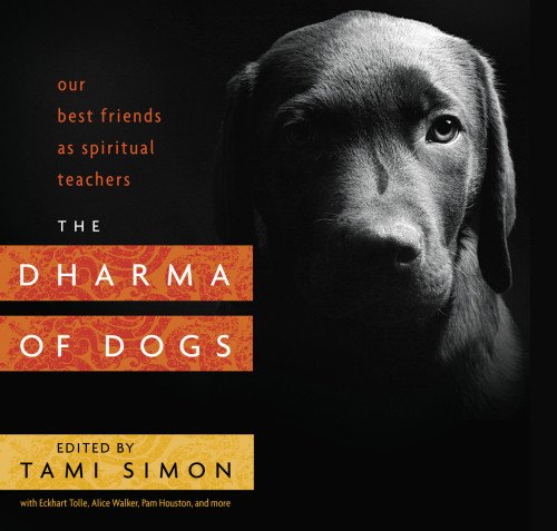The Dharma Of Dogs Our Best Friends As Spiritual Teachers Simon