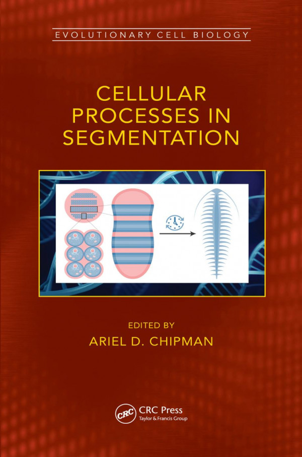 Cellular Processes In Segmentation 1st Edition Ariel Chipman Editor