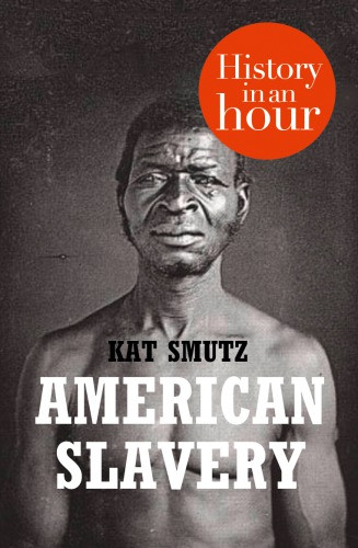 American Slavery In An Hour Smutz Kat