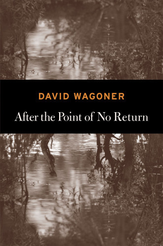 After The Point Of No Return Wagoner David