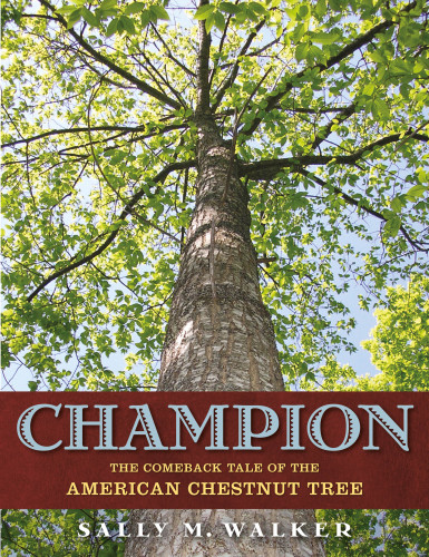 Champion The Comeback Tale Of The American Chestnut Tree First Edition Walker