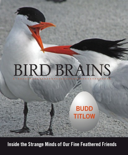 Bird Brains Inside The Strange Minds Of Our Fine Feathered Friends Titlow