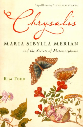 Chrysalis Maria Sibylla Merian And The Secrets Of Metamorphosis 1ed Kim Todd
