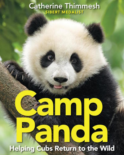Camp Panda Helping Cubs Return To The Wild Thimmesh Catherine