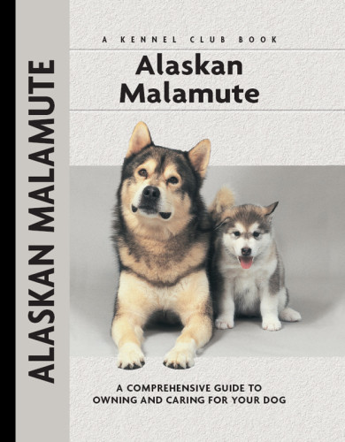 Alaskan Malamute Thomas Stockman