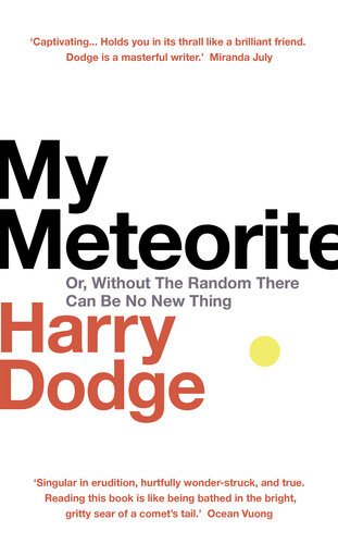 My Meteorite Or Without The Random There Can Be No New Thing Harry Dodge