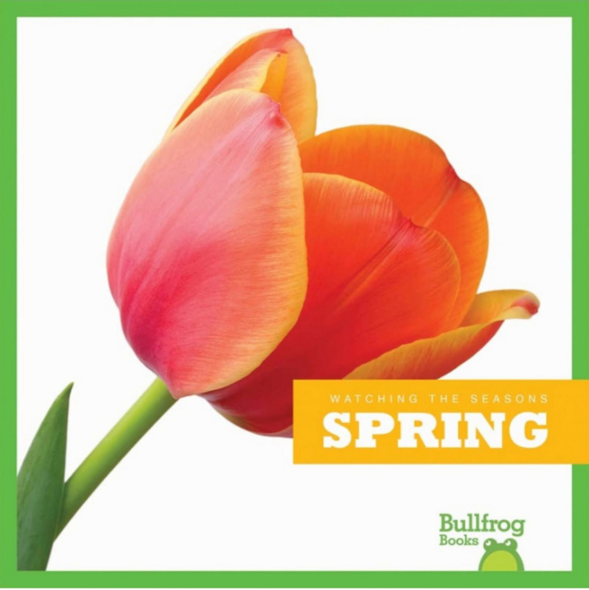 Spring Emily C Dawson