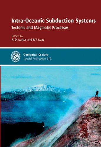 Intraoceanic Subduction Systems Tectonic And Magmatic Processes Illustrated Edition R D Larter