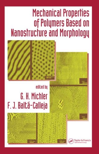 Mechanical Properties Of Polymers Based On Nanostructure And Morphology 1st Edition G H Michler